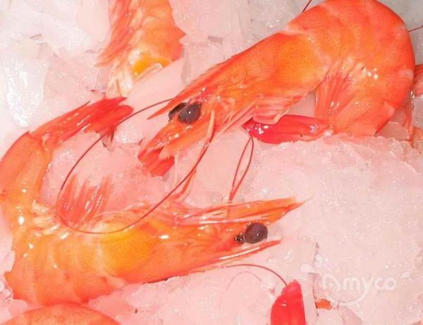 Shrimp-Seafood Health Facts: Making Smart Choices - 翻译中...