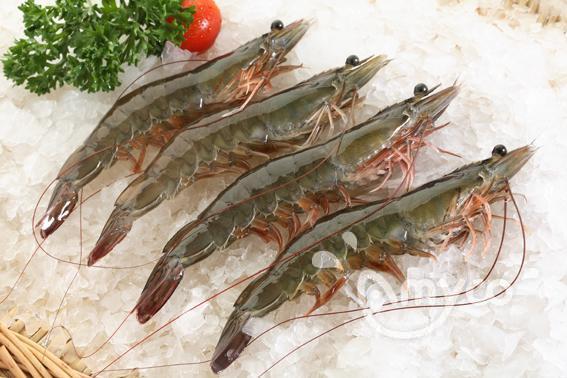 How is the shrimp price going? - 翻译中...