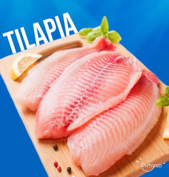 China Tilapia-cage farmed 100% safe and healthy - 翻译中...