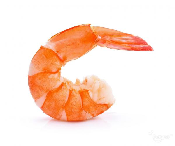 Vannamei Shrimp CPDTO - 翻译中...