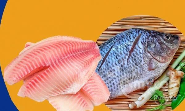 Chinese Tilapia prices flatten in US market after short drop - 翻译中...