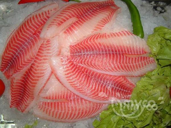 Why the occasional off-flavors in our Tilapia, and how to avoid it? - 翻译中...